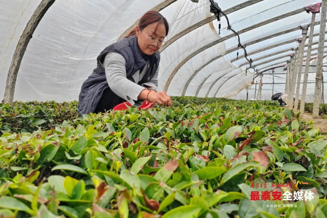 640 (4).jpg 640 (4).jpg